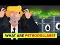 How Petrodollars Affect The US Dollar And The World Economy