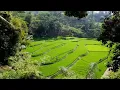 Download Lagu Anie anjani,, Hadirmu bagai mimpi
