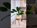 Download Lagu En modern saksı yapımı geldi görmeyenler için ☺️🤌🏻