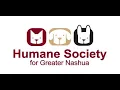 Humane Society For Greater Nashua