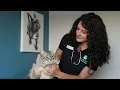 Habitat Veterinary Hospital - Tour