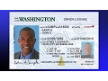 New WA Driver License and Identification Cards