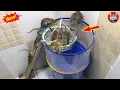 Download Lagu Top 1 Cara menjebak tikus dengan ember plastik | Perangkap tikus gaya baru 2020