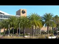UCF students return to campus for spring semester during COVID-19 pandemic