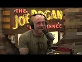 Download Lagu Joe Rogan Experience #2004 - Ice Cube