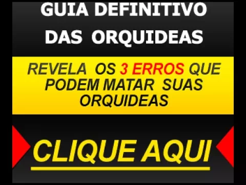 COMO CUIDAR DE ORQUIDEAS EM GERAL