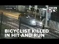 Bicyclist killed in hit-and-run Eugene police release details on suspect vehicle
