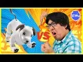 Download ROBO DOG AIBO VS. RYAN'S DADDY ! Who is the Better Robot Dog ? mp4 3gp mp3 videos - waplic