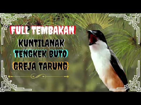 Download MP3 Cendet Full Tembakan Kuntilanak | Tengkek Buto | Gereja Tarung || Materan Cendet Paud