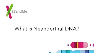 23andMe FAQ What is Neanderthal DNA
