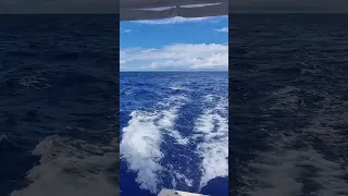 One Day in the Middle of the Ocean #shorts #Ocean #yacht #sailing