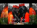 Download Lagu Red Velvet - Peek a boo (Writer's Demo) [English Demo]