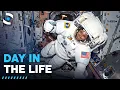 Download Lagu Life Inside The International Space Station