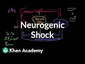 Download Lagu Neurogenic shock | Circulatory System and Disease | NCLEX-RN | Khan Academy
