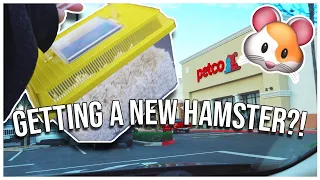 GETTING A HAMSTER cage setup supplies haul