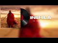 Inshila Featuring Various Artists