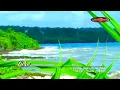 Download Lagu Luka (Andaikan Masih Bersama) RAYYAN SYAHID