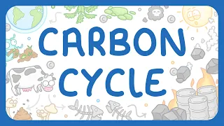 KS3 Chemistry - The Carbon Cycle