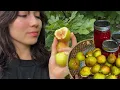 I pick fig I make jam I make tea with classical music