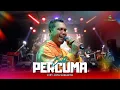 Download Lagu PERCUMA - BRODIN | SAMUDRA MUSIC