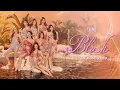 BINI Blush