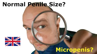 Normal penile size girth and micropenis urologist Gottingen