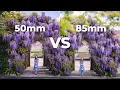 50mm 2 vs 85mm 2 Lens Comparison Which Prime Lens Should You Buy First