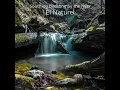 Singing Birds by the Stream - El Naturel
