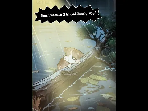 Bé mèo thật kiên trì!