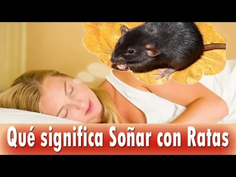 Download MP3 Que significa Soñar con Ratas ▶ Significado de los Sueños ⭐⭐