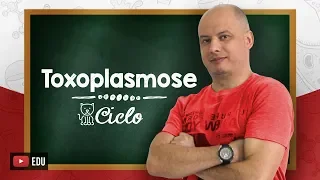 Ciclo da Toxoplasmose I Parasitologia