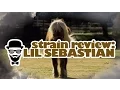 Strain Review Lil Sebastian Deep Roots Harvest - YoungFashioned com