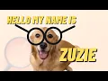 Hello My Name Is Zuzie  | Ew TikTok Trend #shorts
