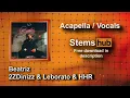 Beatriz - 2ZDinizz & Leborato & HHR [Vocals / Acapella] * HQ Download