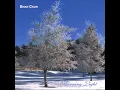 Brian Crain - Morning Light