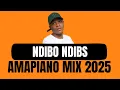 Lagu AMAPIANO MIX 2025 | NDIBO NDIBS | EXCLISIVE MIX | 19 October