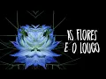 Download Lagu Fabio Brazza - As Flores e o Louco (Prod. WEY)
