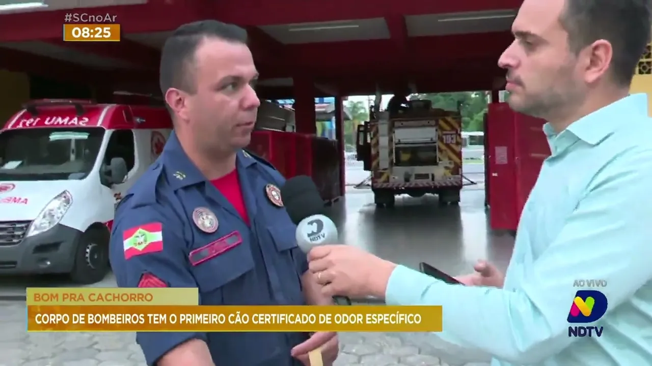 Cão do Corpo de Bombeiros de SC recebe certificação por ajudar nos serviços de resgate
