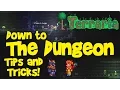 Into The Dungeon Tips and Tricks Chests Keys Loot Terraria 1 3 Let s Play Guide