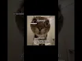 How to get a boyfriend! ❤️ #tutorial #boyfriend #cat #funny #meme #snapchat #texting #cute