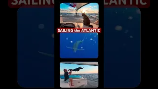 ATLANTIC CROSSING – SAILING to BRAZIL in 15 seconds