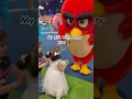 Download Lagu Real Angry bird #bahrain #youtubeshorts #trendingshorts #viralshorts