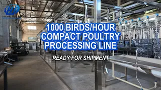 1000 Birds Per Hour Compact Poultry Processing Line Chicken Processing Solution Ready for Shipment