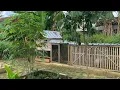 Lagu Berkebun di belakang rumah sambil ternak ayam hasilnya memuaskan 