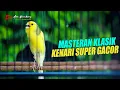Lagu MASTERAN Kenari SUPER GACOR speet rapet durasi ajib