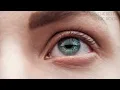 LOWX - EXCUSED