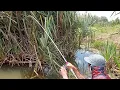Download Lagu Beginilah mancing ikan di rawa yang mulai kekeringan.