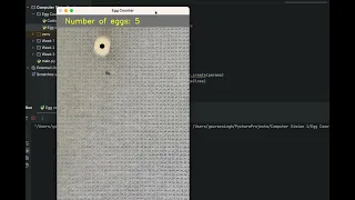 Counting Egg using OpenCV and Blob detections