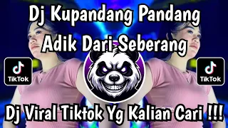 dj kupandang pandang adik dari seberang dj cinta dari seberang viral tiktok 2025 