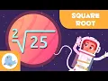 THE SQUARE ROOT What is the Square Root Math for Kids